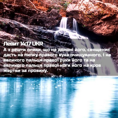 Picture 02 - Левит 14:17 UKR - А з решти оливи, що на - Bible Verse Picture