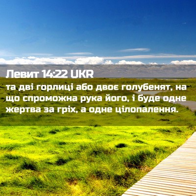 Picture 02 - Левит 14:22 UKR - та дві горлиці або двоє - Bible Verse Picture