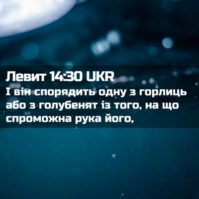 Picture 02 - Левит 14:30 UKR - І він спорядить одну з - Bible Verse Picture