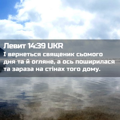 Picture 02 - Левит 14:39 UKR - І вернеться священик - Bible Verse Picture