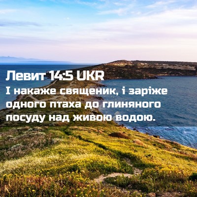 Picture 02 - Левит 14:5 UKR - І накаже священик, і заріже - Bible Verse Picture