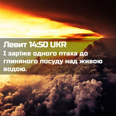 Picture 02 - Левит 14:50 UKR - І заріже одного птаха до - Bible Verse Picture