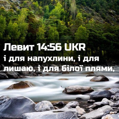 Picture 02 - Левит 14:56 UKR - і для напухлини, і для - Bible Verse Picture