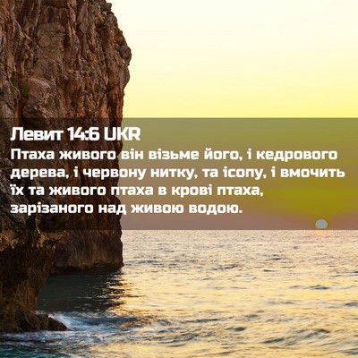 Picture 02 - Левит 14:6 UKR - Птаха живого він візьме - Bible Verse Picture