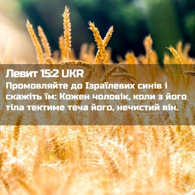 Picture 02 - Левит 15:2 UKR - Промовляйте до Ізраїлевих - Bible Verse Picture