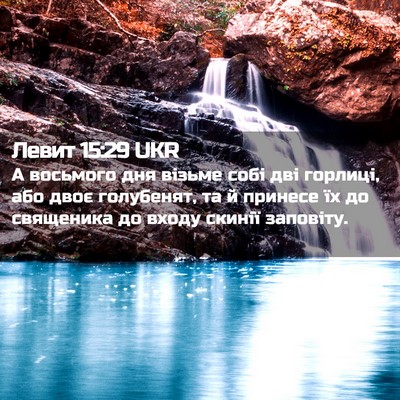 Picture 02 - Левит 15:29 UKR - А восьмого дня візьме собі - Bible Verse Picture
