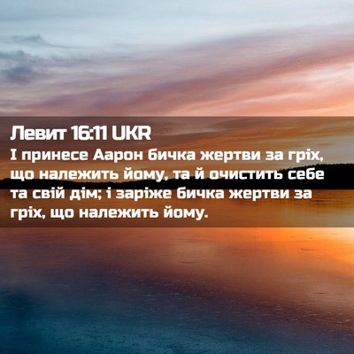 Picture 02 - Левит 16:11 UKR - І принесе Аарон бичка - Bible Verse Picture