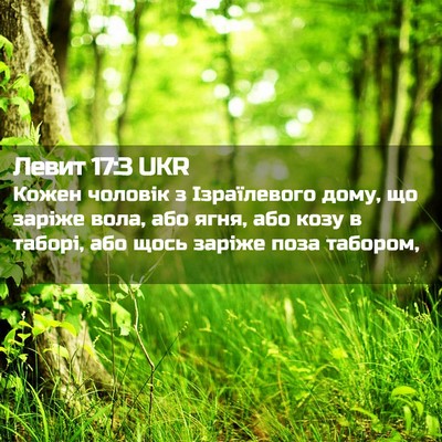 Picture 02 - Левит 17:3 UKR - Кожен чоловік з - Bible Verse Picture