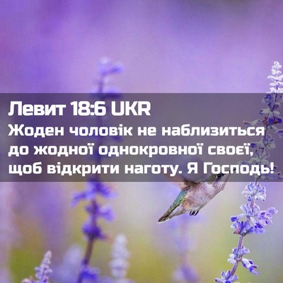 Picture 02 - Левит 18:6 UKR - Жоден чоловік не - Bible Verse Picture