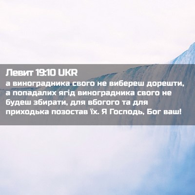 Picture 02 - Левит 19:10 UKR - а виноградника свого не - Bible Verse Picture
