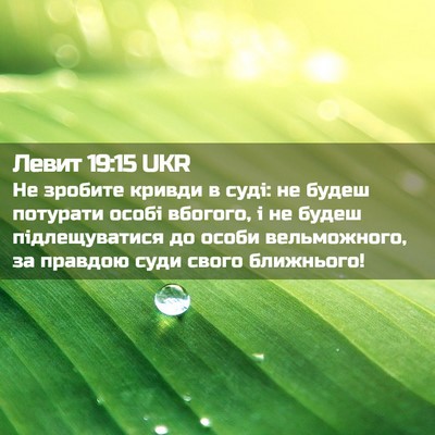 Picture 02 - Левит 19:15 UKR - Не зробите кривди в суді: - Bible Verse Picture