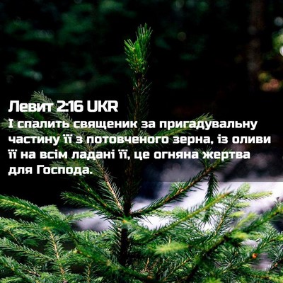 Picture 02 - Левит 2:16 UKR - І спалить священик за - Bible Verse Picture