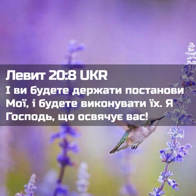 Picture 02 - Левит 20:8 UKR - І ви будете держати - Bible Verse Picture