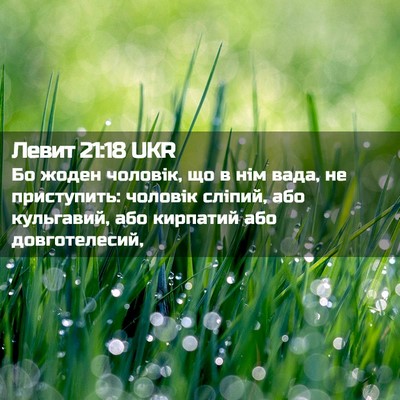 Picture 02 - Левит 21:18 UKR - Бо жоден чоловік, що в нім - Bible Verse Picture