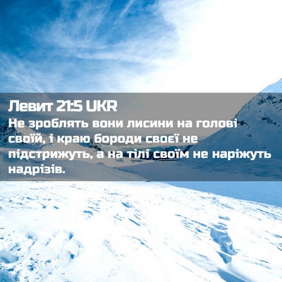 Picture 02 - Левит 21:5 UKR - Не зроблять вони лисини на - Bible Verse Picture