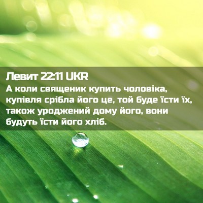 Picture 02 - Левит 22:11 UKR - А коли священик купить - Bible Verse Picture