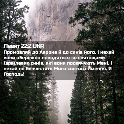 Picture 02 - Левит 22:2 UKR - Промовляй до Аарона й до - Bible Verse Picture
