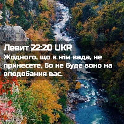 Picture 02 - Левит 22:20 UKR - Жодного, що в нім вада, не - Bible Verse Picture