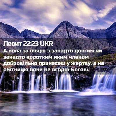 Picture 02 - Левит 22:23 UKR - А вола та вівцю з занадто - Bible Verse Picture