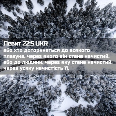 Picture 02 - Левит 22:5 UKR - або хто доторкнеться до - Bible Verse Picture