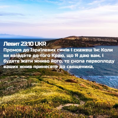 Picture 02 - Левит 23:10 UKR - Промов до Ізраїлевих синів - Bible Verse Picture