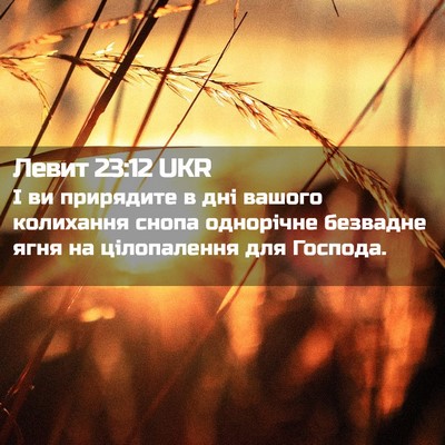 Picture 02 - Левит 23:12 UKR - І ви прирядите в дні вашого - Bible Verse Picture
