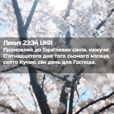 Picture 02 - Левит 23:34 UKR - Промовляй до Ізраїлевих - Bible Verse Picture