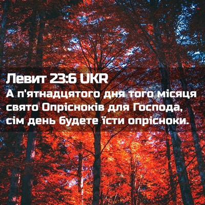 Picture 02 - Левит 23:6 UKR - А п'ятнадцятого дня того - Bible Verse Picture