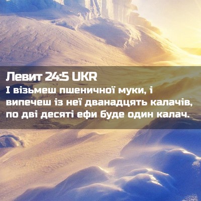 Picture 02 - Левит 24:5 UKR - І візьмеш пшеничної муки, і - Bible Verse Picture
