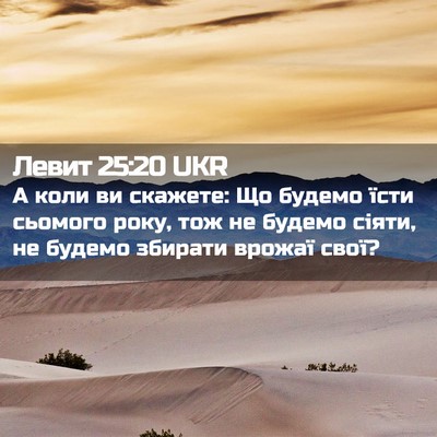 Picture 02 - Левит 25:20 UKR - А коли ви скажете: Що - Bible Verse Picture