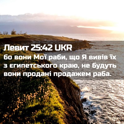 Picture 02 - Левит 25:42 UKR - бо вони Мої раби, що Я вивів - Bible Verse Picture
