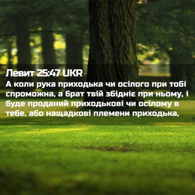 Picture 02 - Левит 25:47 UKR - А коли рука приходька чи - Bible Verse Picture