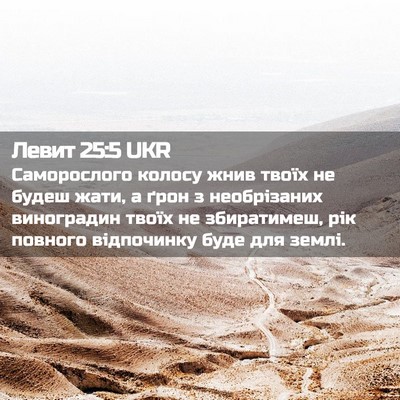 Picture 02 - Левит 25:5 UKR - Саморослого колосу жнив - Bible Verse Picture
