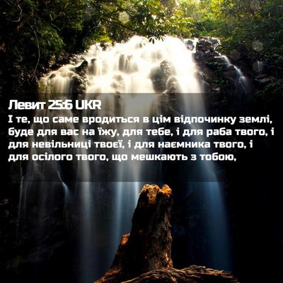 Picture 02 - Левит 25:6 UKR - І те, що саме вродиться в - Bible Verse Picture