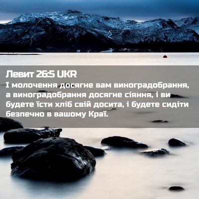 Picture 02 - Левит 26:5 UKR - І молочення досягне вам - Bible Verse Picture