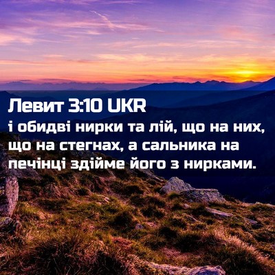 Picture 02 - Левит 3:10 UKR - і обидві нирки та лій, що на - Bible Verse Picture