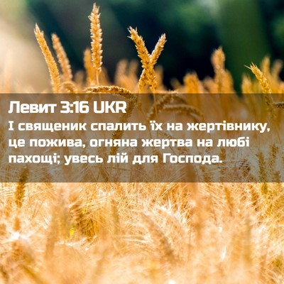 Picture 02 - Левит 3:16 UKR - І священик спалить їх на - Bible Verse Picture