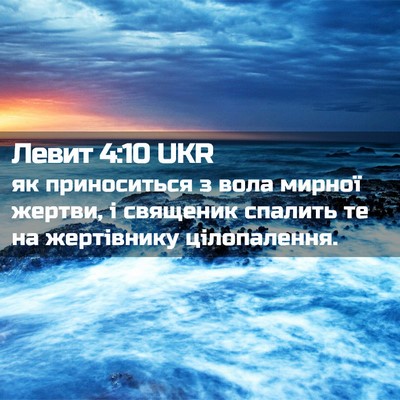 Picture 02 - Левит 4:10 UKR - як приноситься з вола - Bible Verse Picture