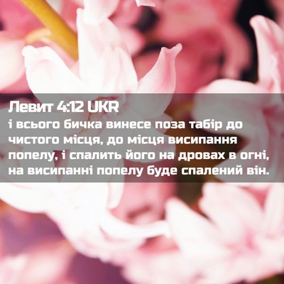 Picture 02 - Левит 4:12 UKR - і всього бичка винесе поза - Bible Verse Picture