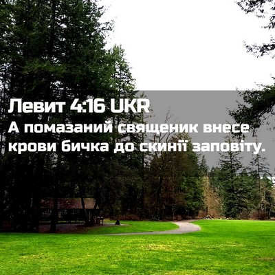 Picture 02 - Левит 4:16 UKR - А помазаний священик внесе - Bible Verse Picture