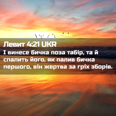 Picture 02 - Левит 4:21 UKR - І винесе бичка поза табір, - Bible Verse Picture