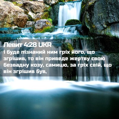 Picture 02 - Левит 4:28 UKR - і буде пізнаний ним гріх - Bible Verse Picture