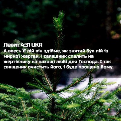 Picture 02 - Левит 4:31 UKR - А ввесь її лій він здійме, - Bible Verse Picture