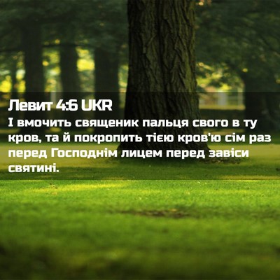 Picture 02 - Левит 4:6 UKR - І вмочить священик пальця - Bible Verse Picture