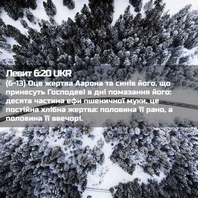 Picture 02 - Левит 6:20 UKR - (6-13) Оце жертва Аарона та - Bible Verse Picture