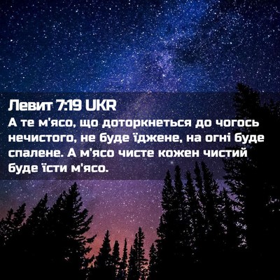 Picture 02 - Левит 7:19 UKR - А те м'ясо, що доторкнеться - Bible Verse Picture