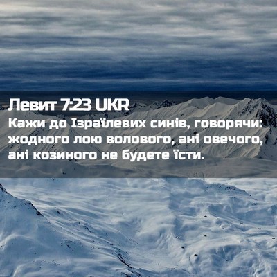 Picture 02 - Левит 7:23 UKR - Кажи до Ізраїлевих синів, - Bible Verse Picture