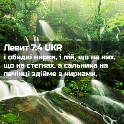Picture 02 - Левит 7:4 UKR - і обидві нирки, і лій, що на - Bible Verse Picture