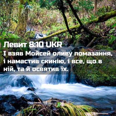 Picture 02 - Левит 8:10 UKR - І взяв Мойсей оливу - Bible Verse Picture