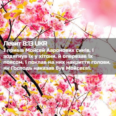 Picture 02 - Левит 8:13 UKR - І привів Мойсей Ааронових - Bible Verse Picture